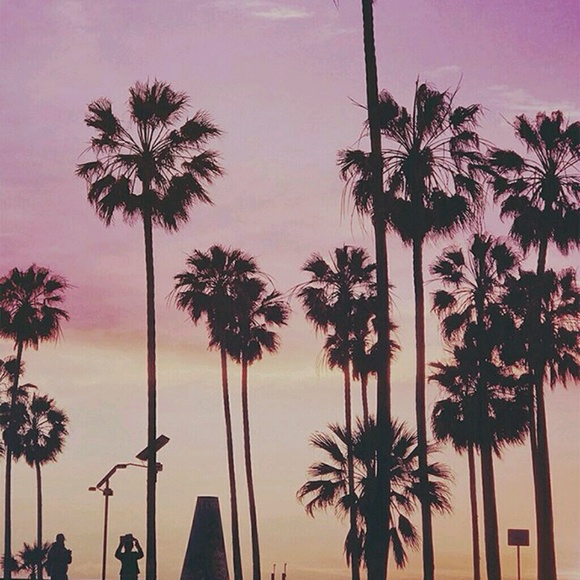 Meet your Posher, Owen - Picture 1 of 1